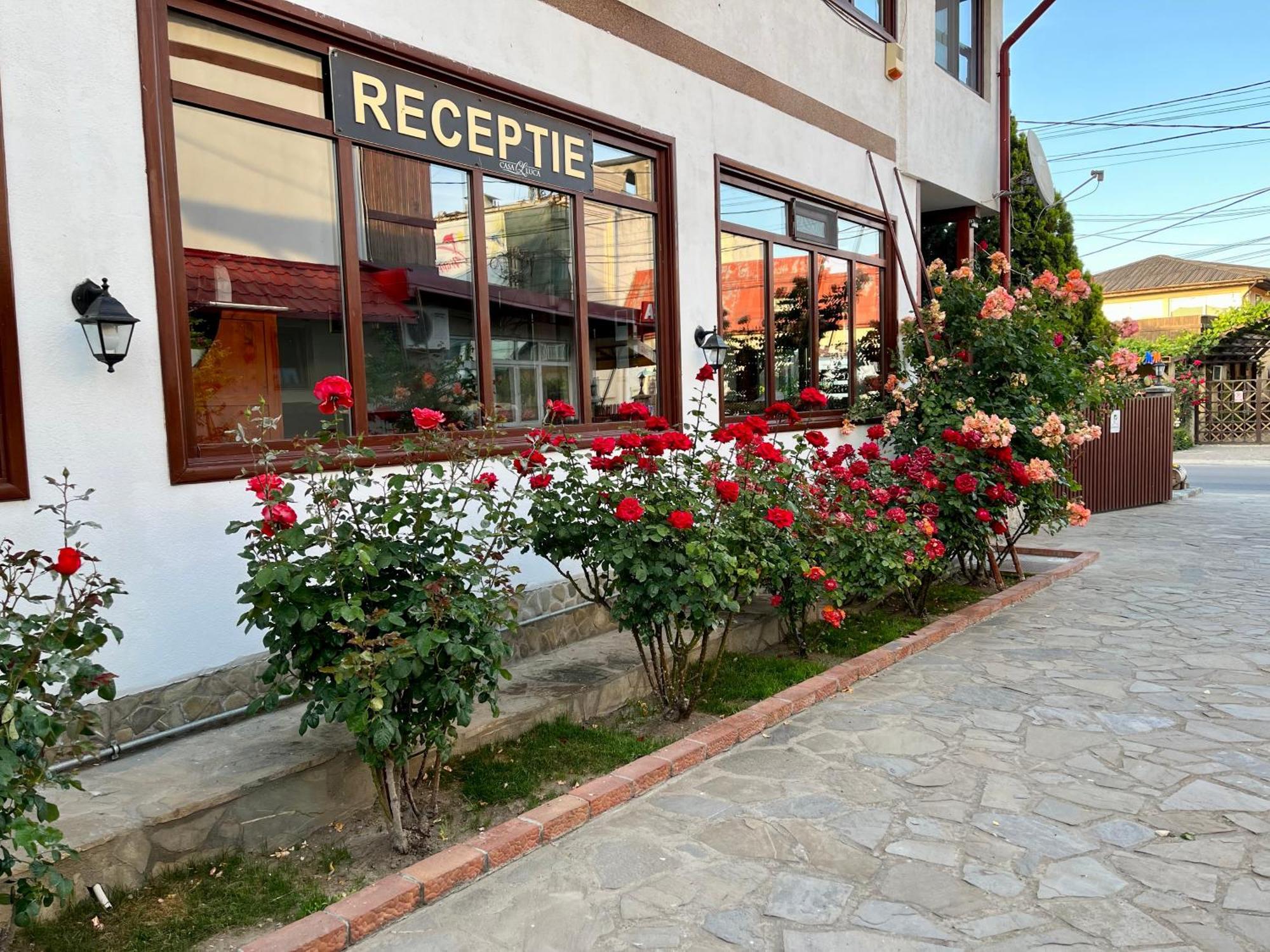 Casa Luca Hotel Vama Veche Kültér fotó