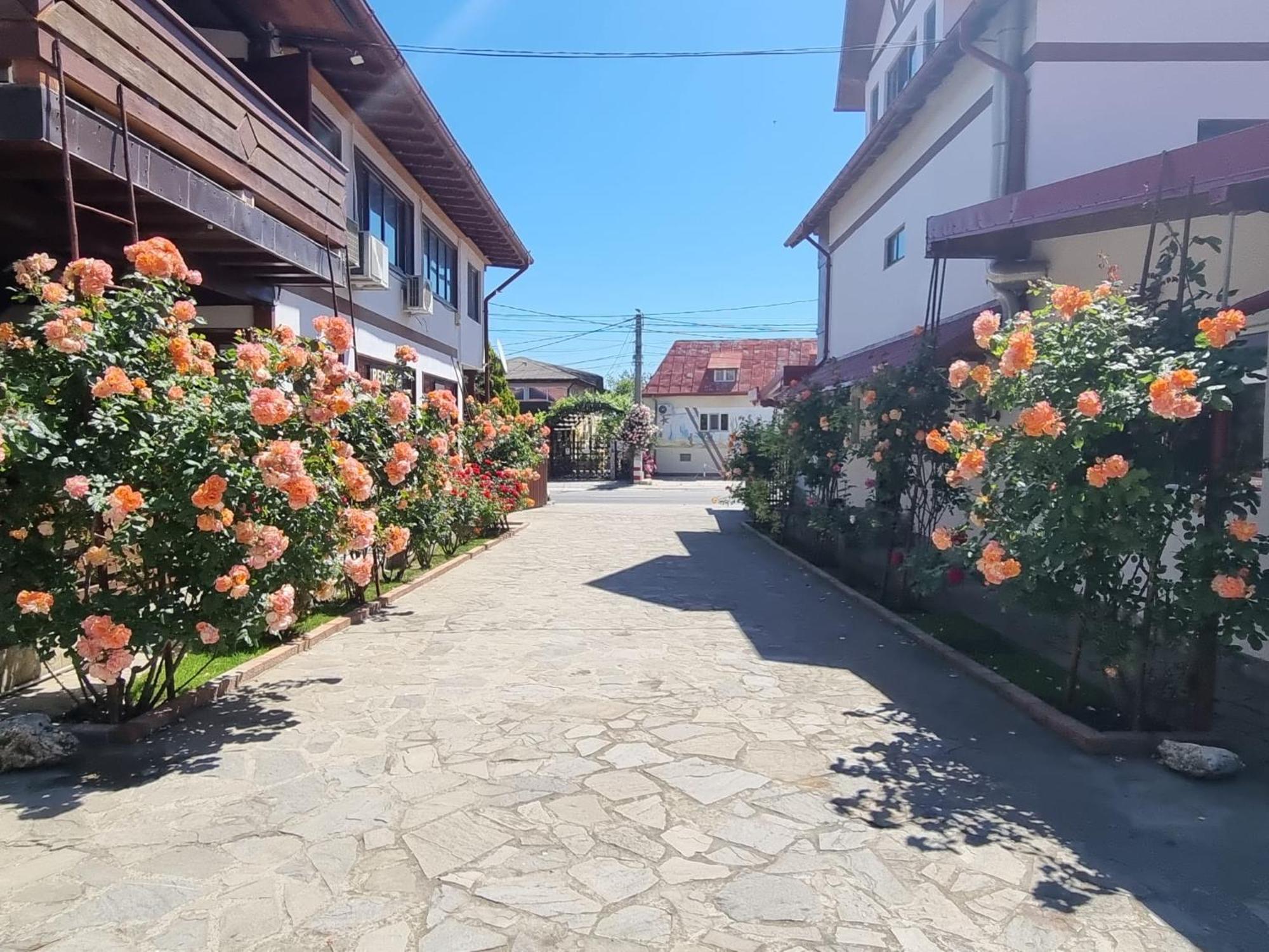 Casa Luca Hotel Vama Veche Kültér fotó