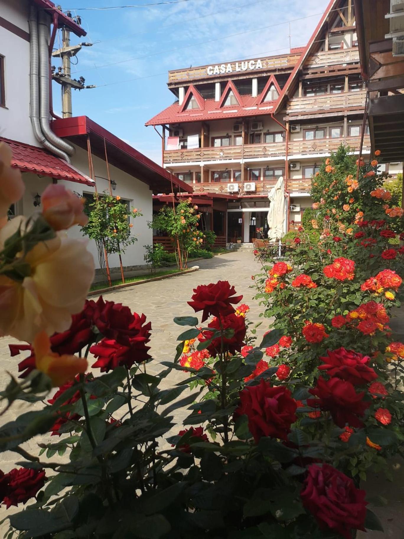 Casa Luca Hotel Vama Veche Kültér fotó
